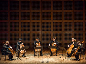 cello-gipfel-kachel-next